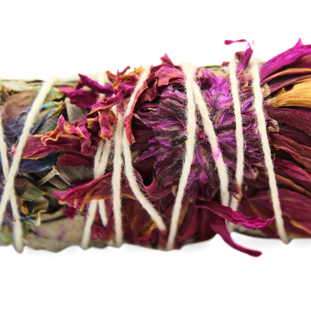 Blissful Sage 10cm (price per pc)