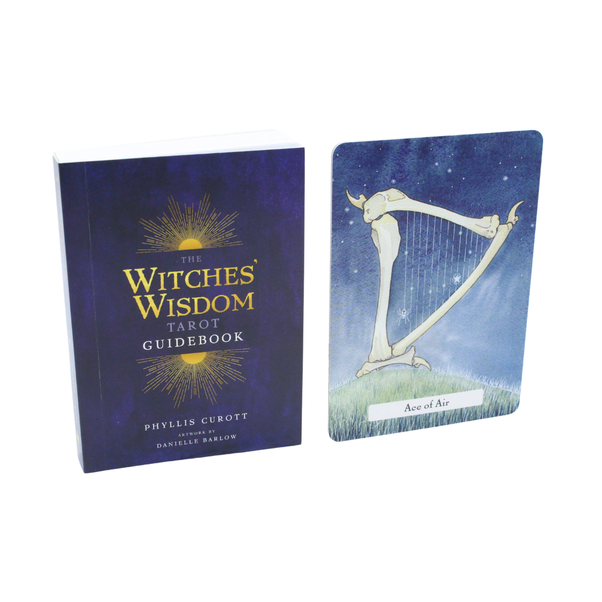 The Witches Wisdom Tarot Cards