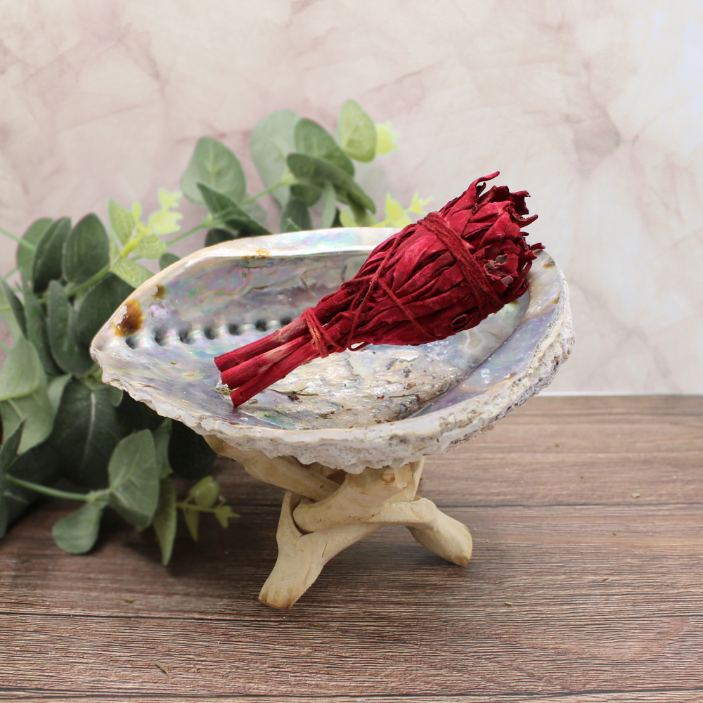 Dragonsblood Torch Sage 10 cm