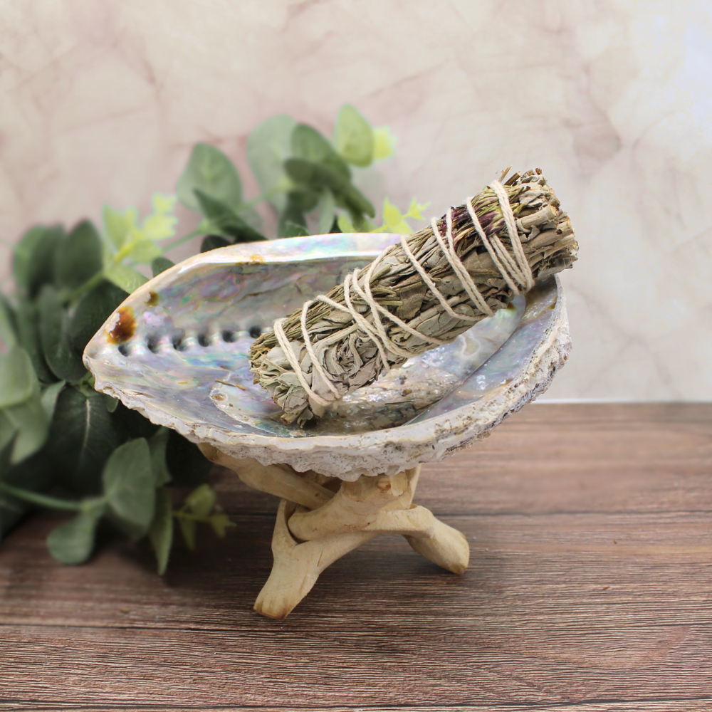 Green Sage 10 cm