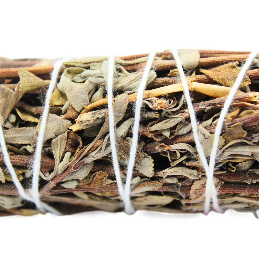 Mountain Sage 10 cm (Price per pc)