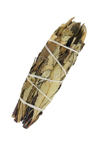 Yerba Santa Sage 10 cm with header
