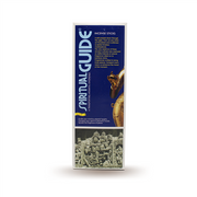 Padmini Spiritual Guide Hexa Incense Sticks