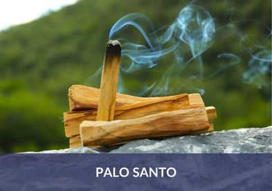 Palo Santo