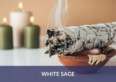 White Sage