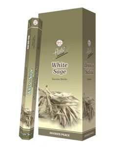 Flute Wit Sage Leaf Hexa