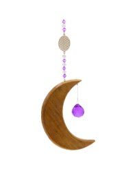 Suncatcher Hanging Crescent Moon