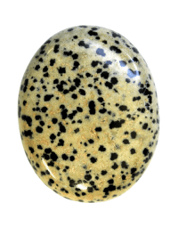 Dalmatian Jasper Palm Stones