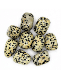 Dalmatian Jasper 'A' Tumbled Stones 200 gr