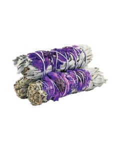 Purple Daze Sage 10cm (price per pc)